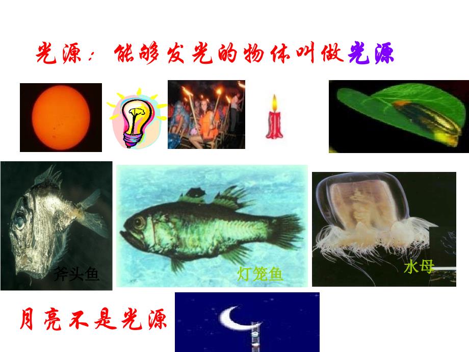 41光的直线传播(公开课)11_第3页