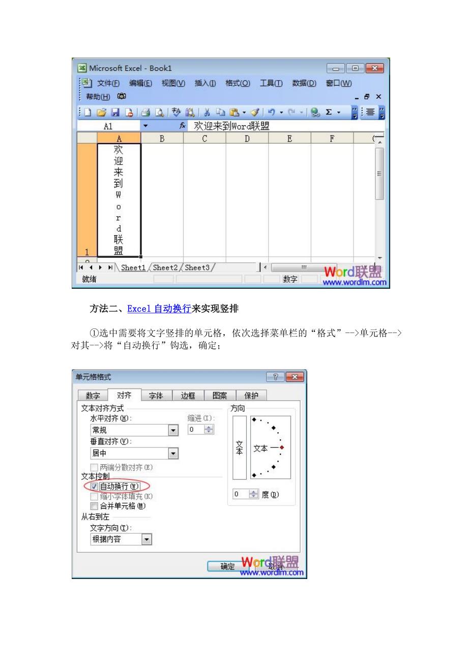 Excel表格文字横排设置成竖排技巧_第2页