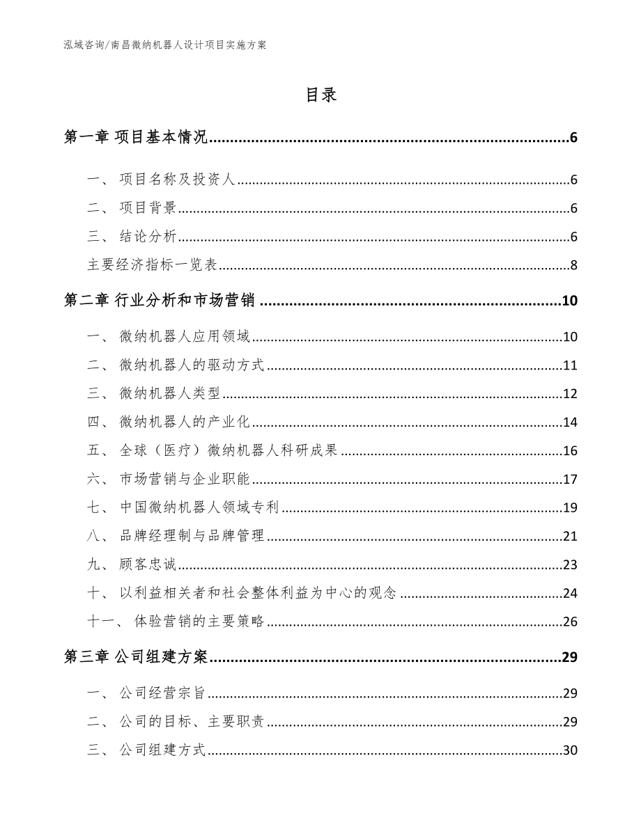 南昌微纳机器人设计项目实施方案【参考范文】_第1页