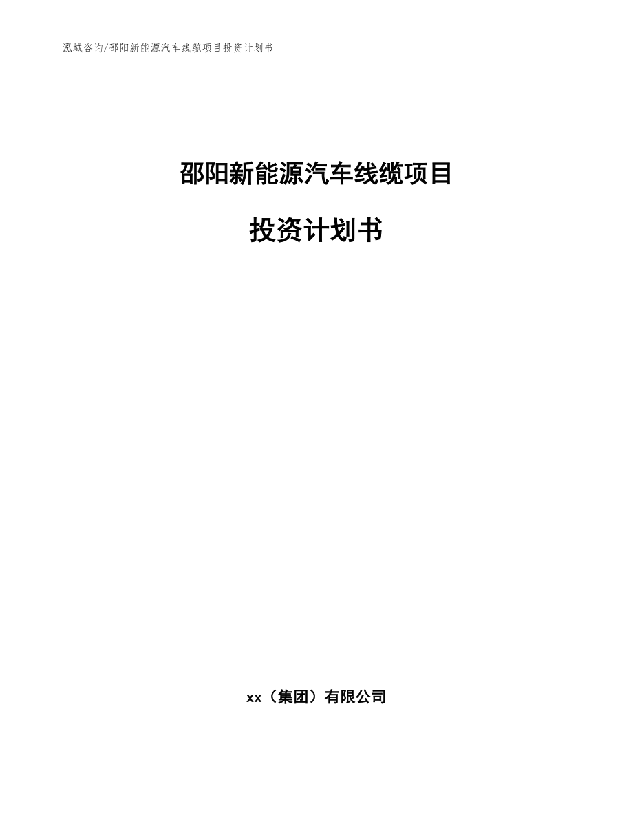 邵阳新能源汽车线缆项目投资计划书_参考范文_第1页