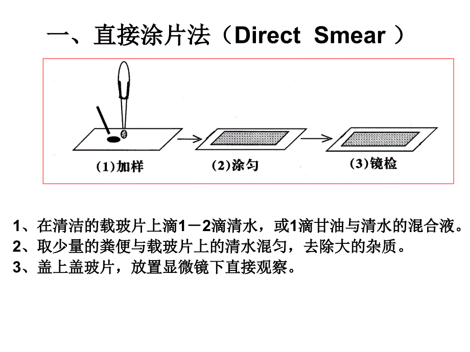 犬猫寄生虫病粪便检查法_第2页