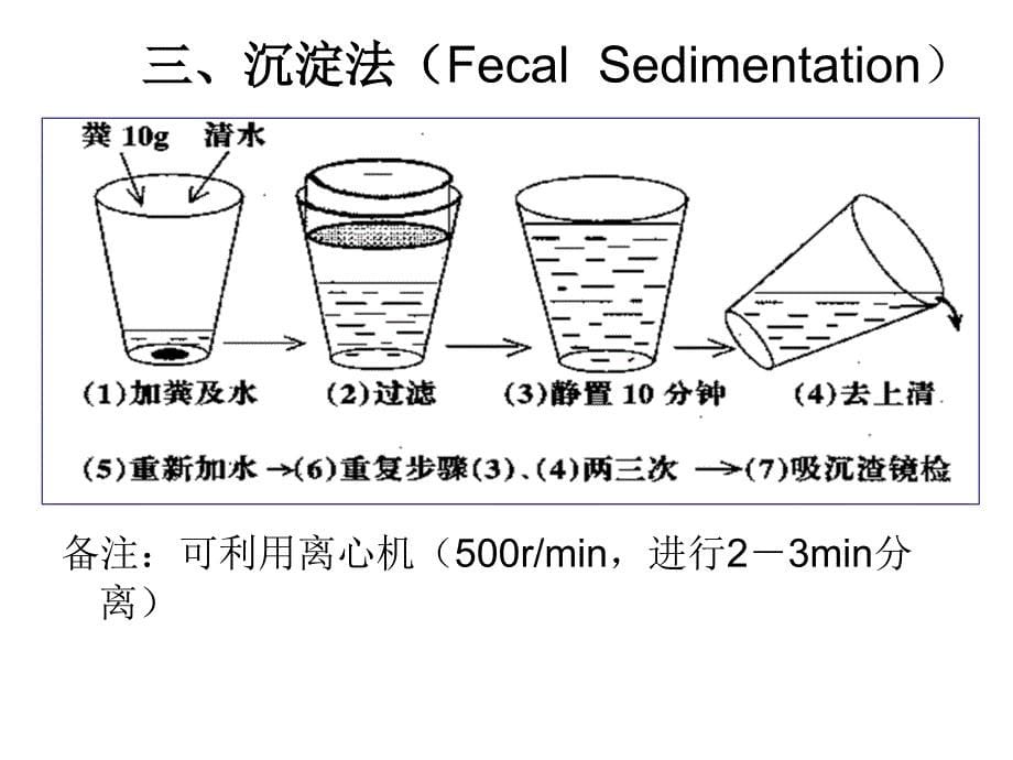 犬猫寄生虫病粪便检查法_第5页