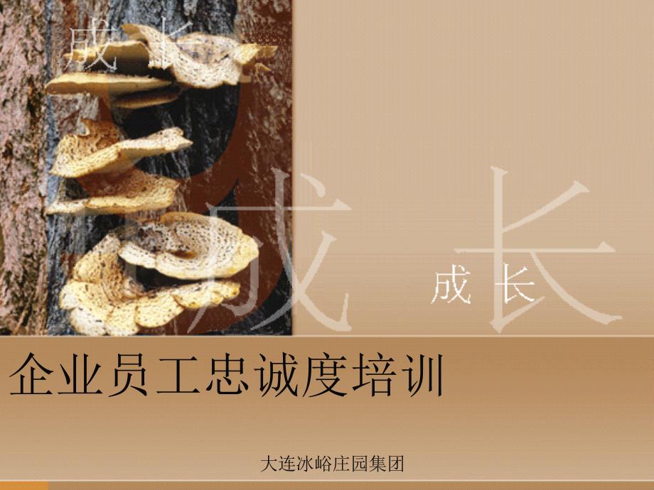 企业员工忠诚度培训PPT教材课件_第1页