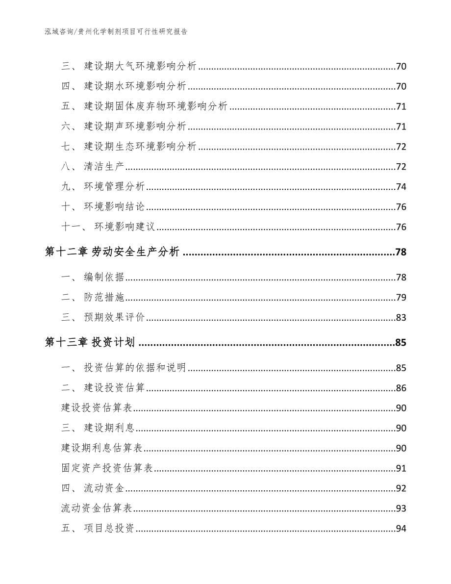 贵州化学制剂项目可行性研究报告（范文参考）_第5页