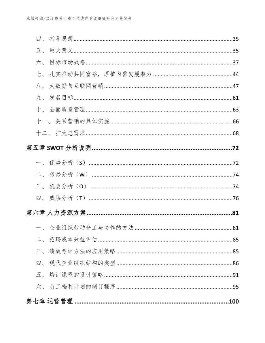 双辽市关于成立传统产业改造提升公司策划书范文参考_第2页