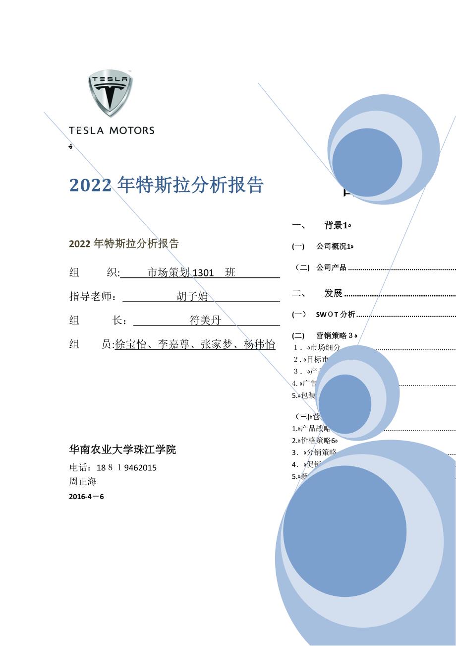 特斯拉分析报告_第1页