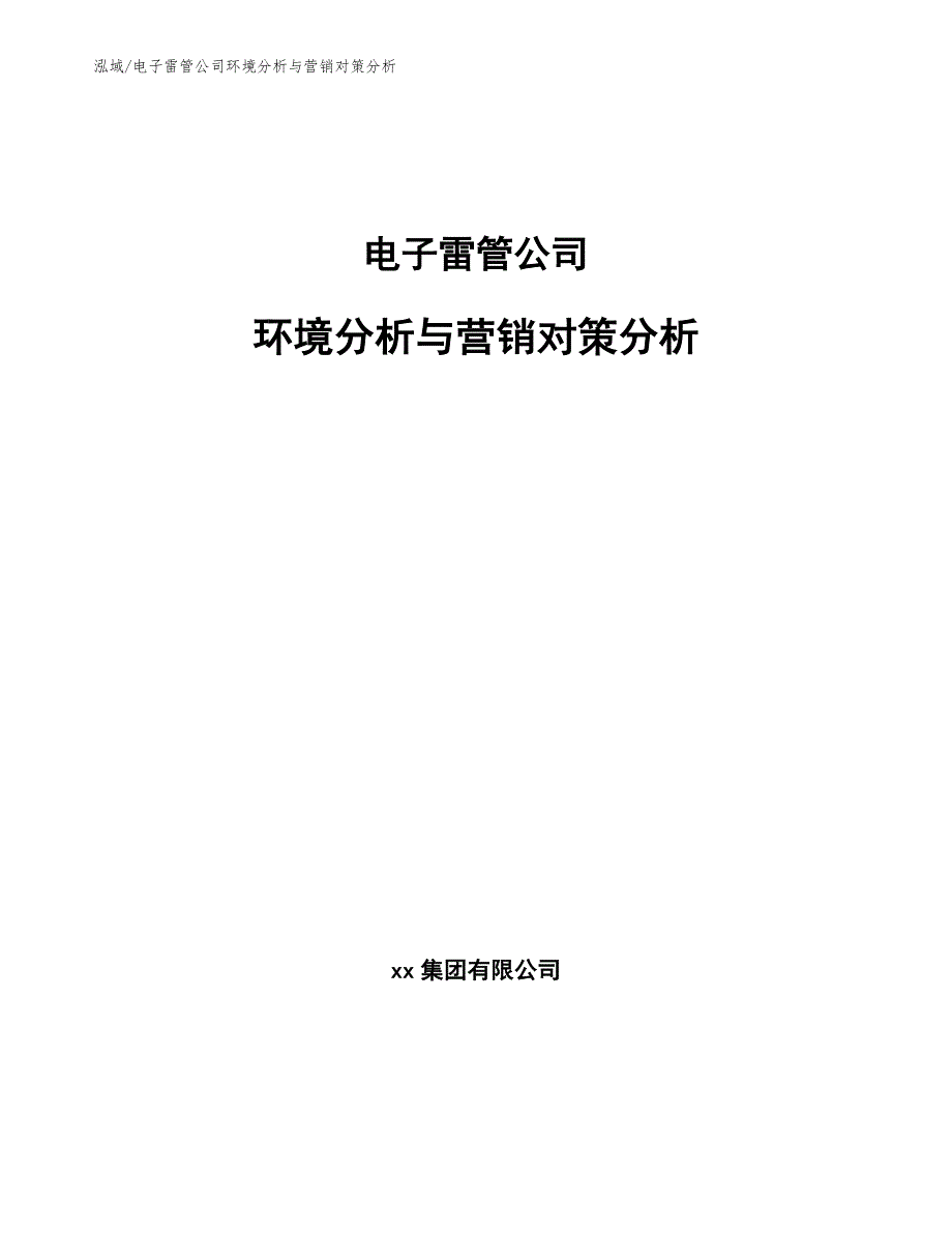 电子雷管公司环境分析与营销对策分析【参考】_第1页