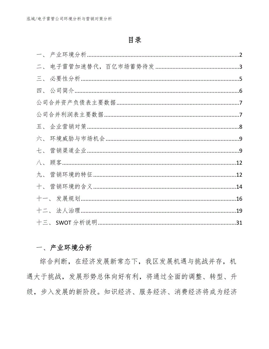 电子雷管公司环境分析与营销对策分析【参考】_第2页