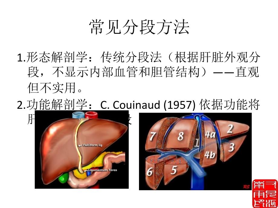 肝脏正常解剖及检查方法课件_第2页