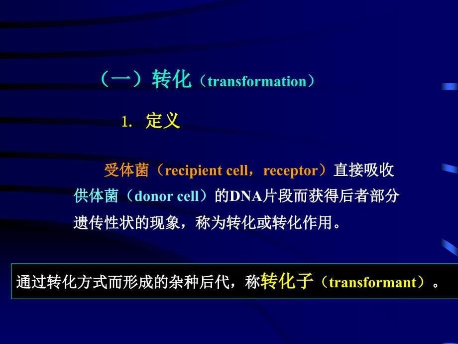 《基因重组》PPT课件_第5页