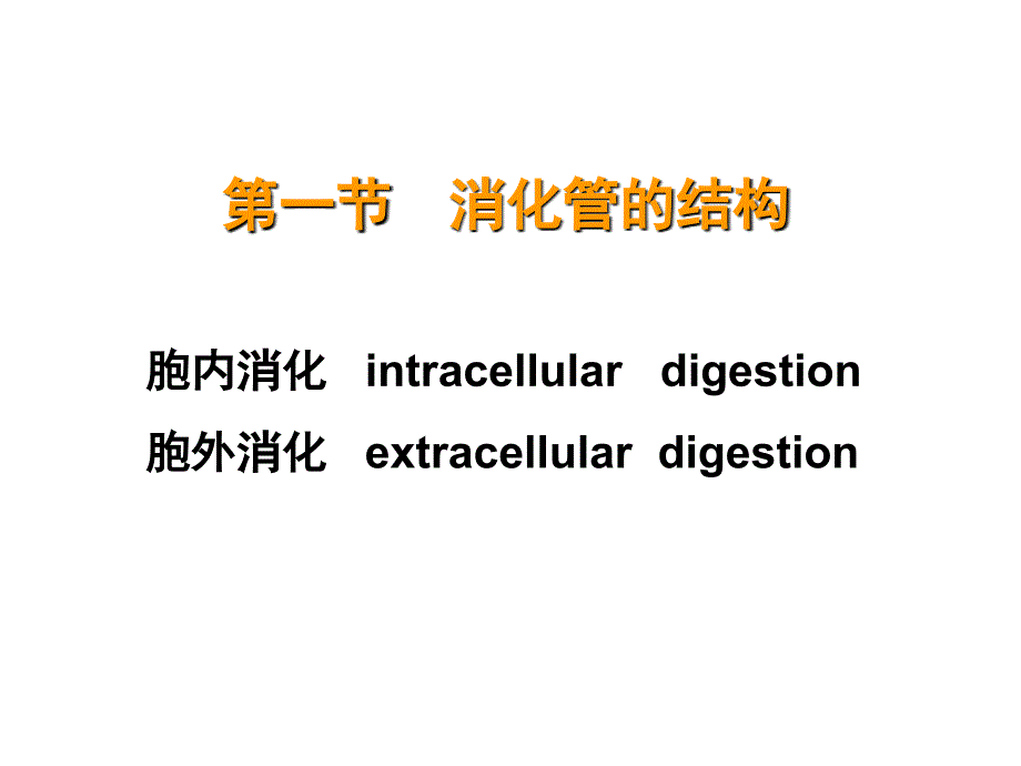 第五章消化吸收_第3页