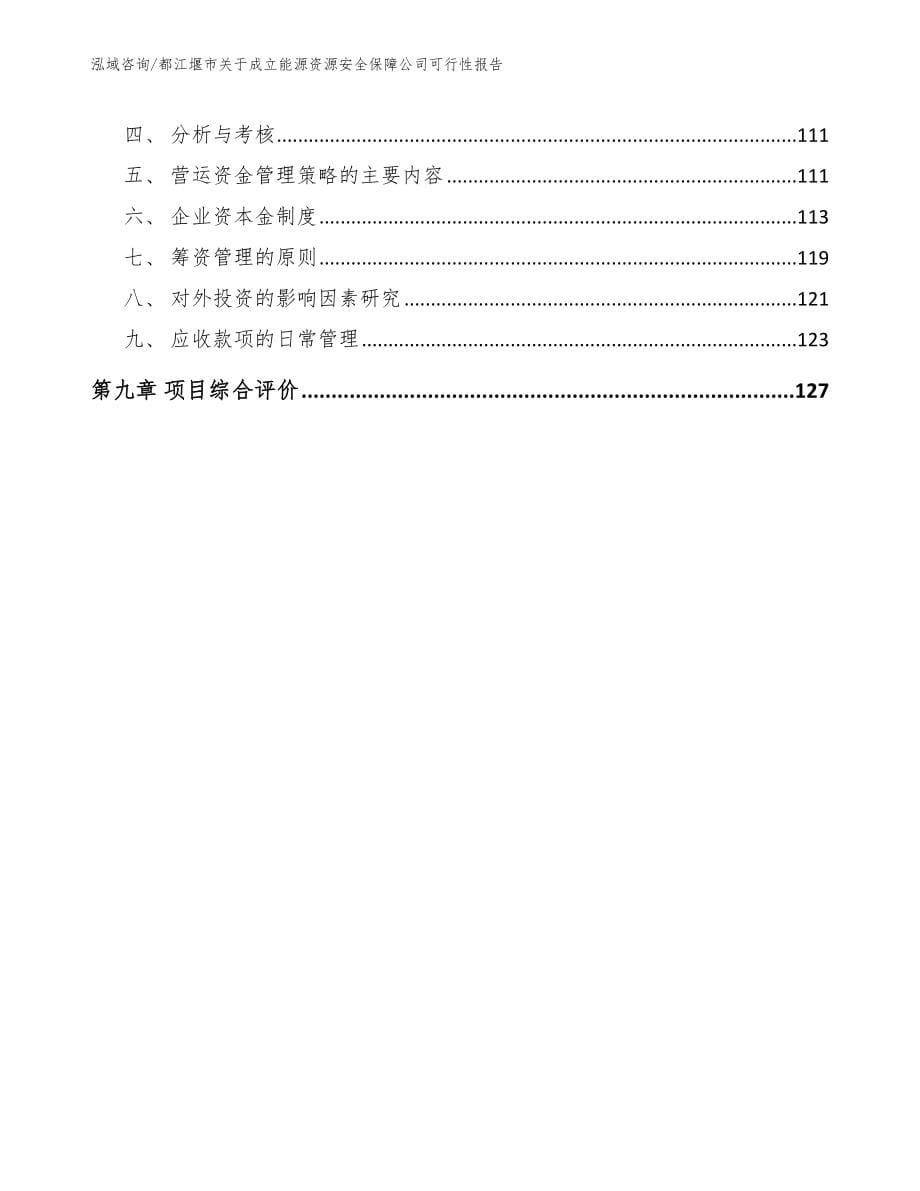 都江堰市关于成立能源资源安全保障公司可行性报告【范文参考】_第5页