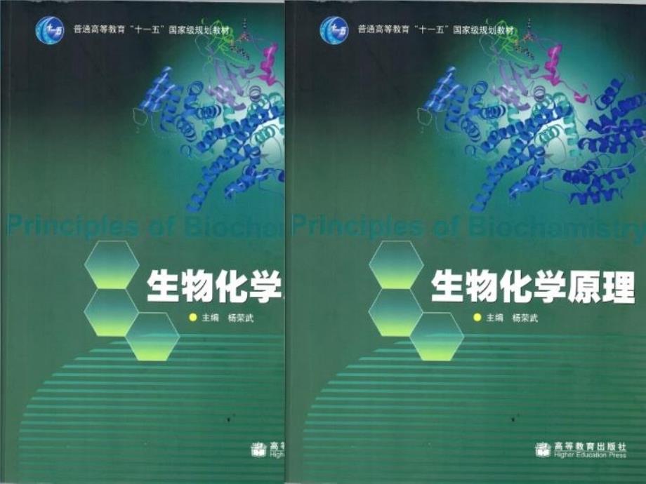 最新如何指导学生学习生化和分子生物学PPT课件_第3页