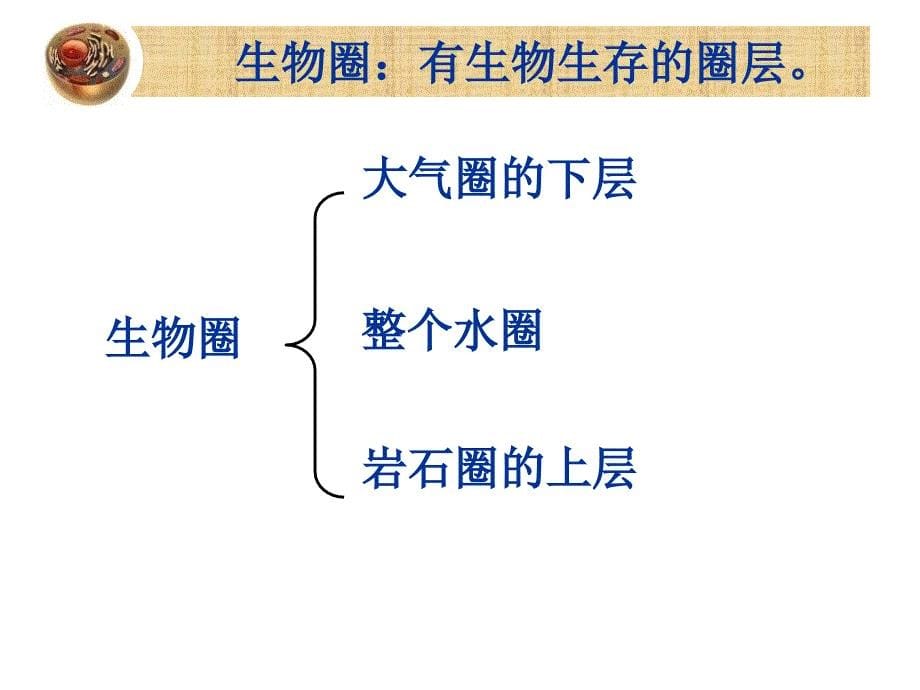 济南版七年级生物上册1.1.2生物的生存环境课件_第5页