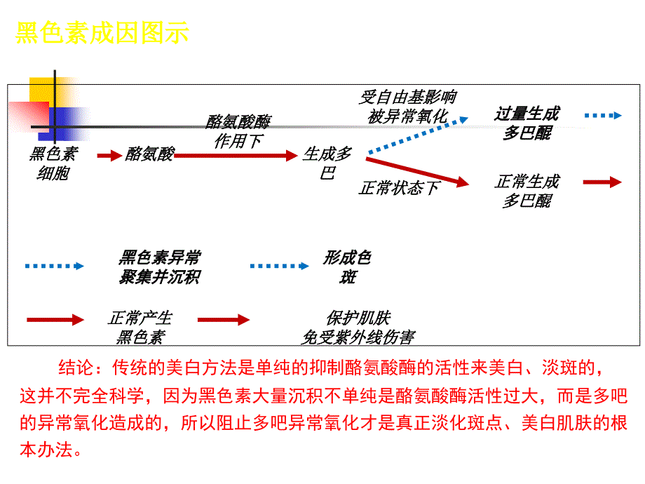 诺缇娜瓷白修复课件.ppt_第4页