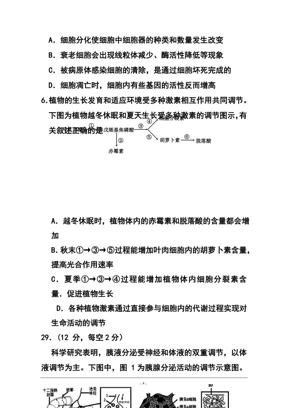 银川一中高三第二次模拟考试生物试题及答案_第4页