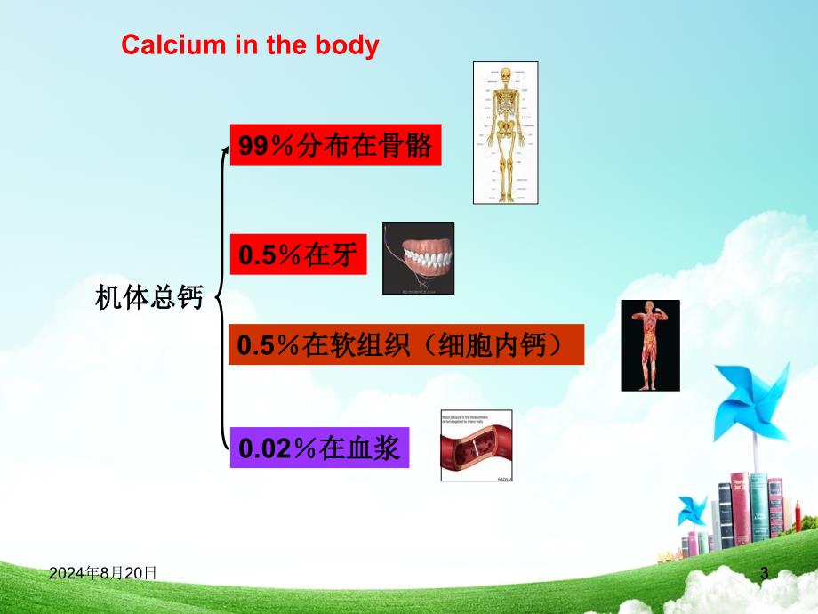 钙离子钙离子的生理作用_第3页