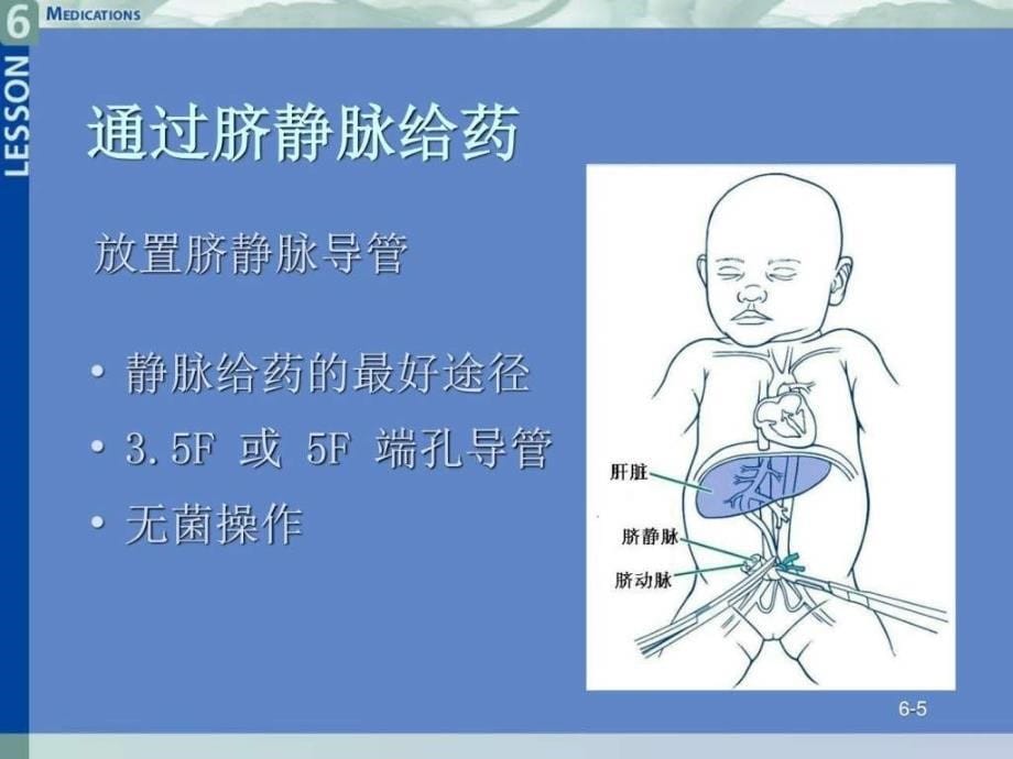 心肺复苏药物图文.ppt_第5页