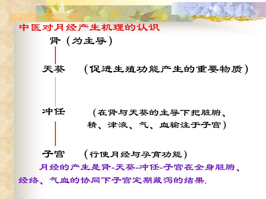 月经不调课件_第3页