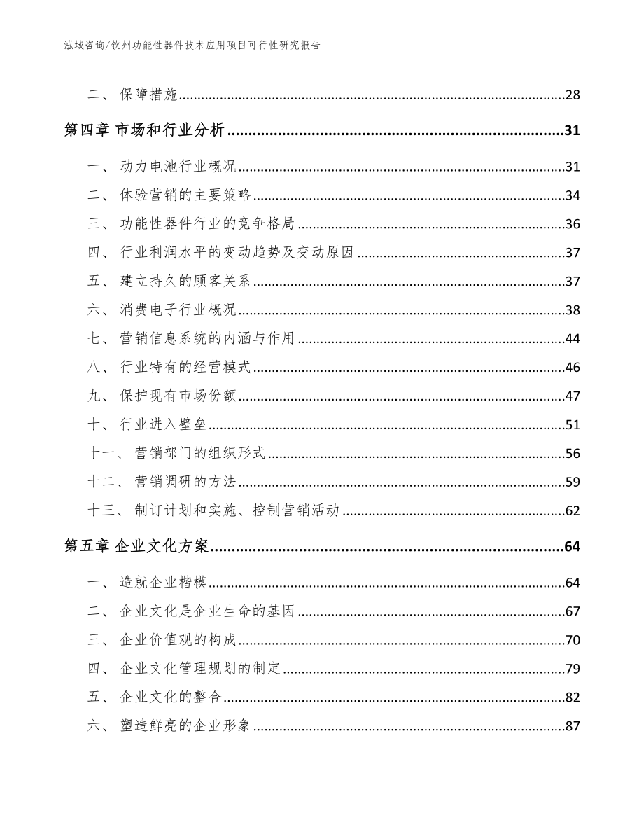 钦州功能性器件技术应用项目可行性研究报告_第2页