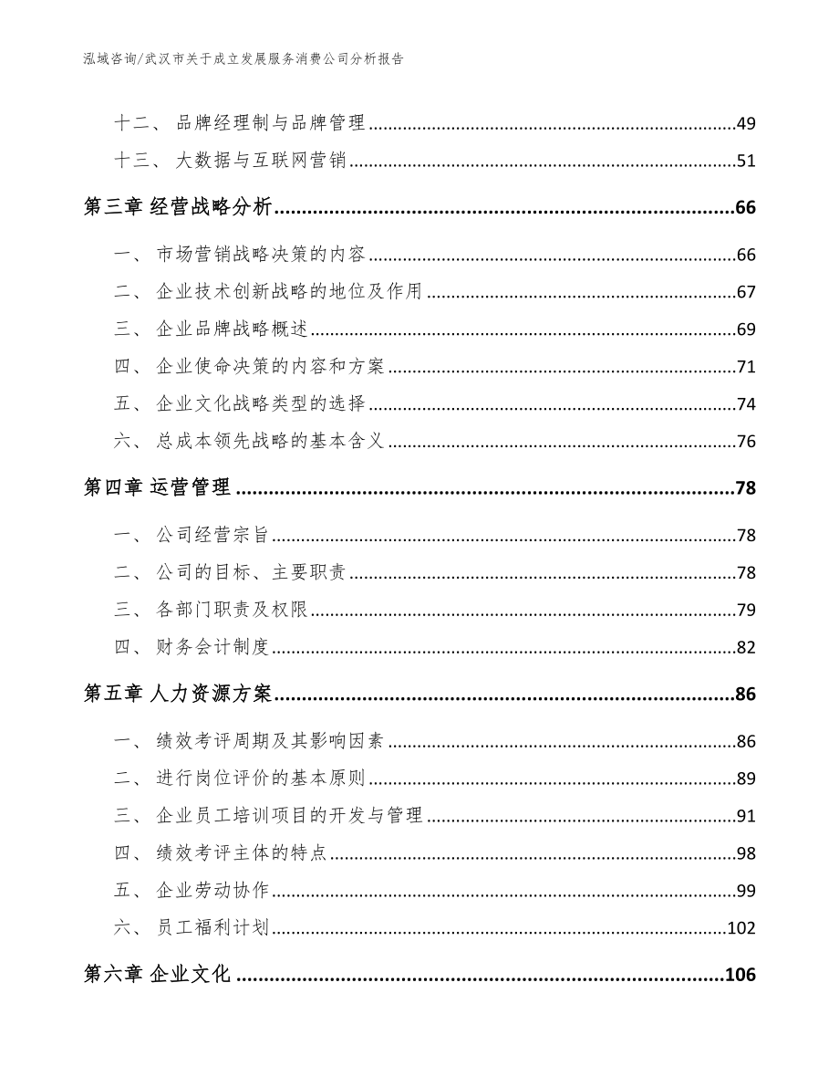 武汉市关于成立发展服务消费公司分析报告_第3页