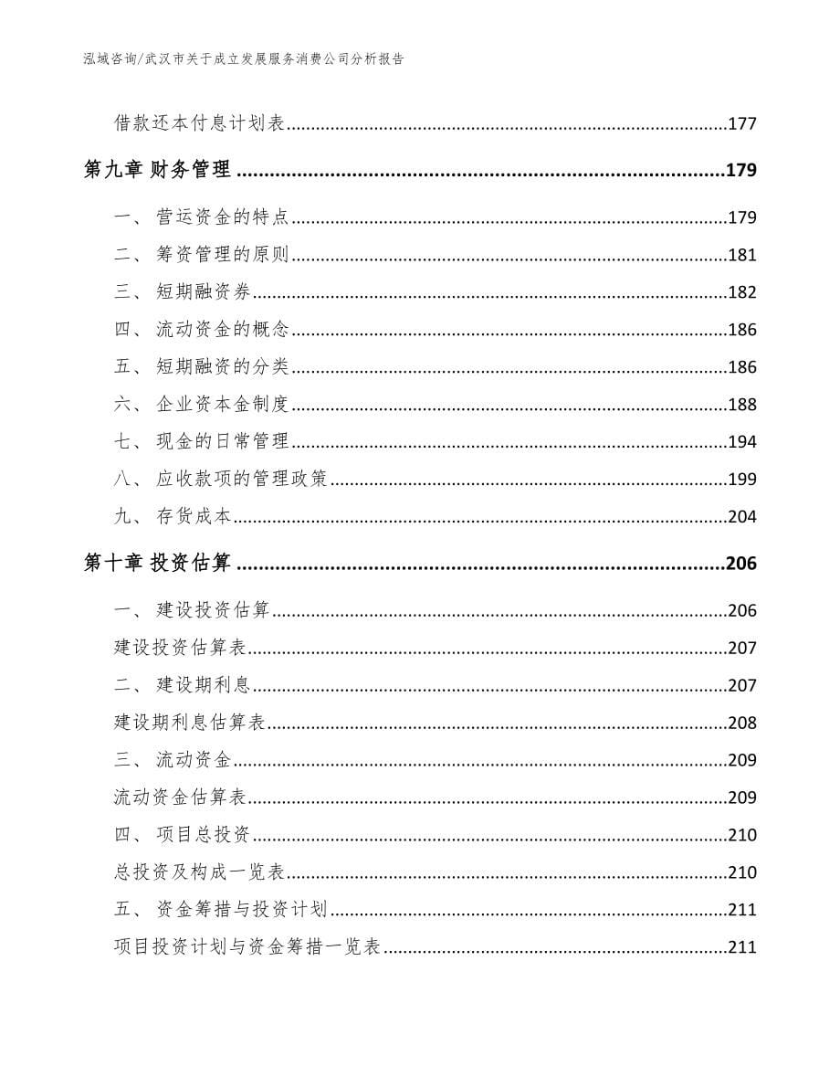 武汉市关于成立发展服务消费公司分析报告_第5页