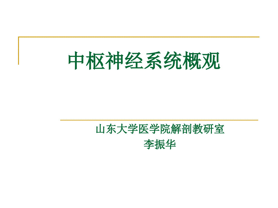 中枢神经系统概观PPT课件_第1页