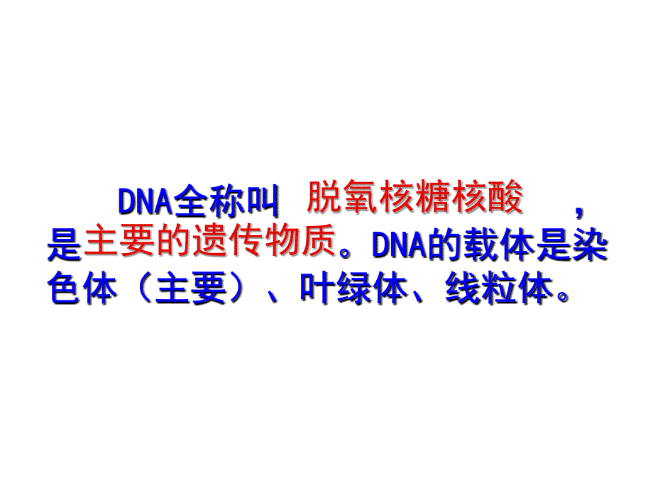 gDNA分子结构_第2页