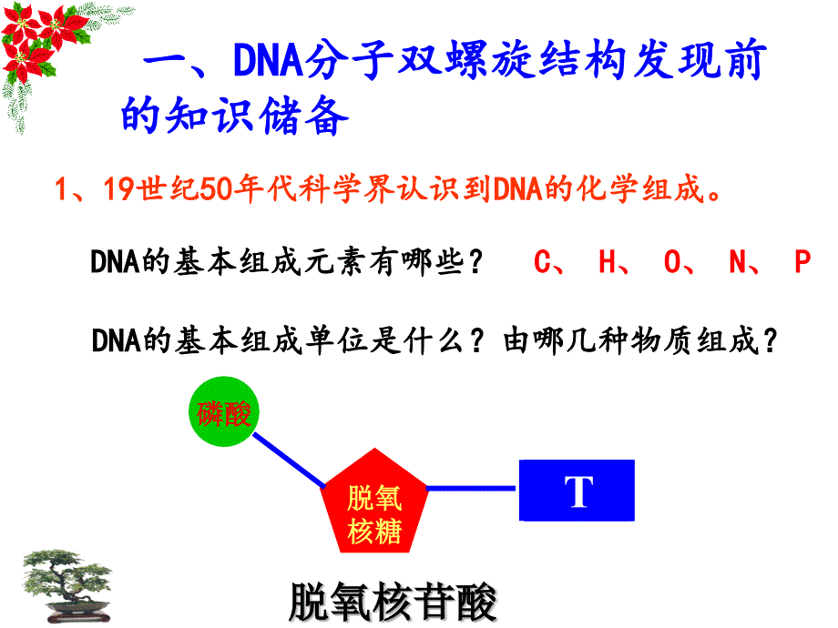 gDNA分子结构_第3页