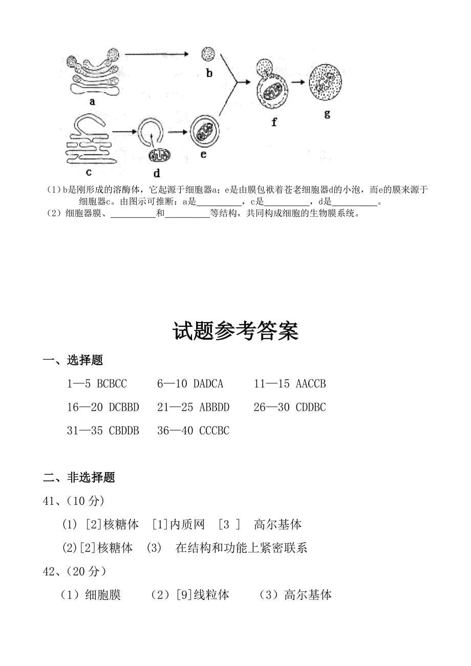 高中生物必修一1、2、3章试卷_第5页