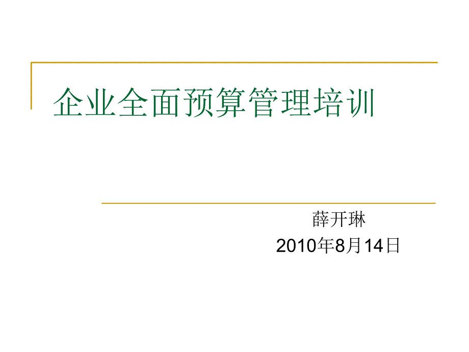 企业全面预算管理培训共39页课件_第2页