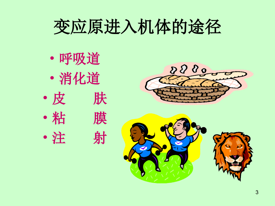 动物微生物学及免疫学变态反应课堂PPT_第3页