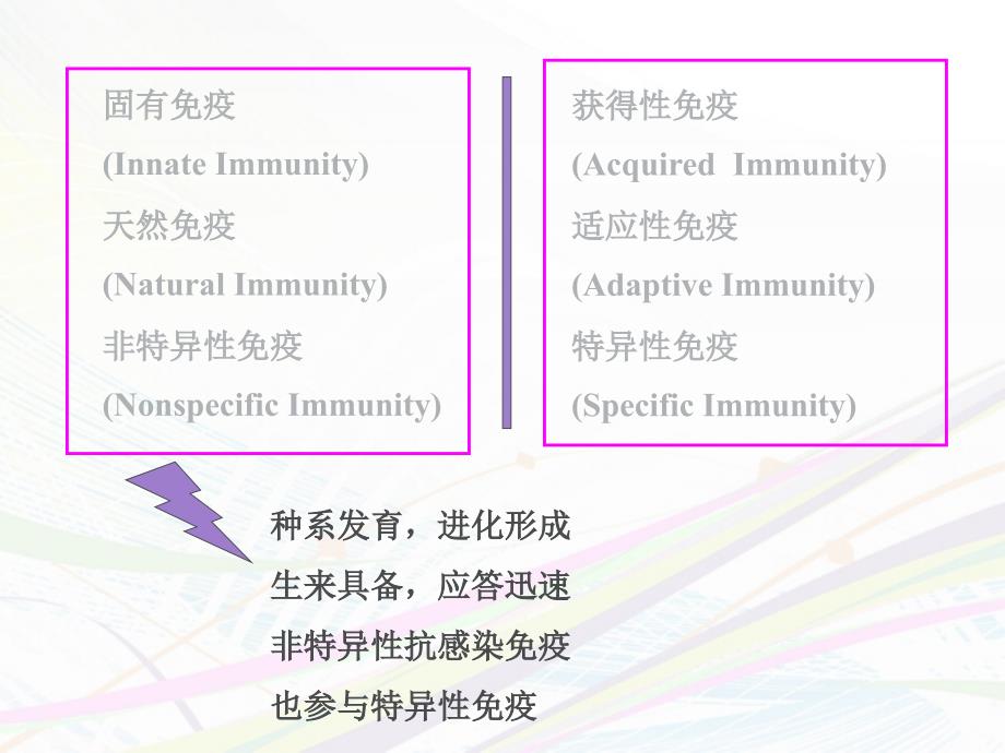 医学免疫学固有免疫ppt课件_第2页