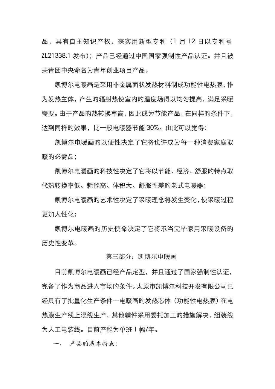 凯博尔电暖画商业综合计划书_第5页