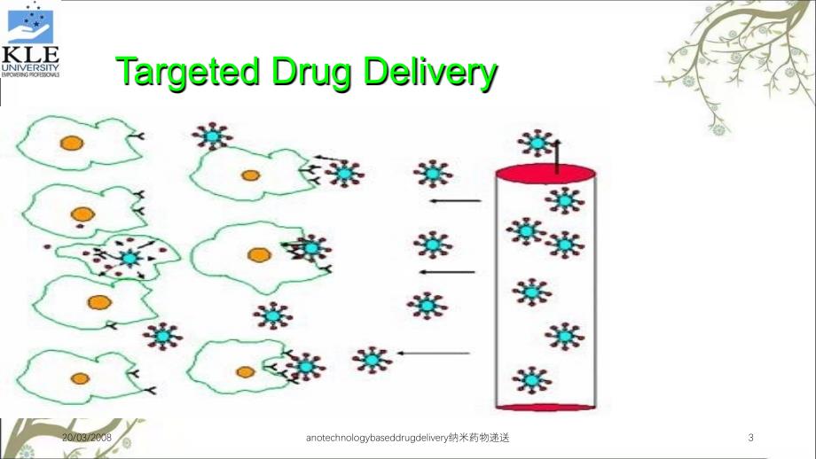 anotechnologybaseddrugdelivery纳米药物递送课件_第3页