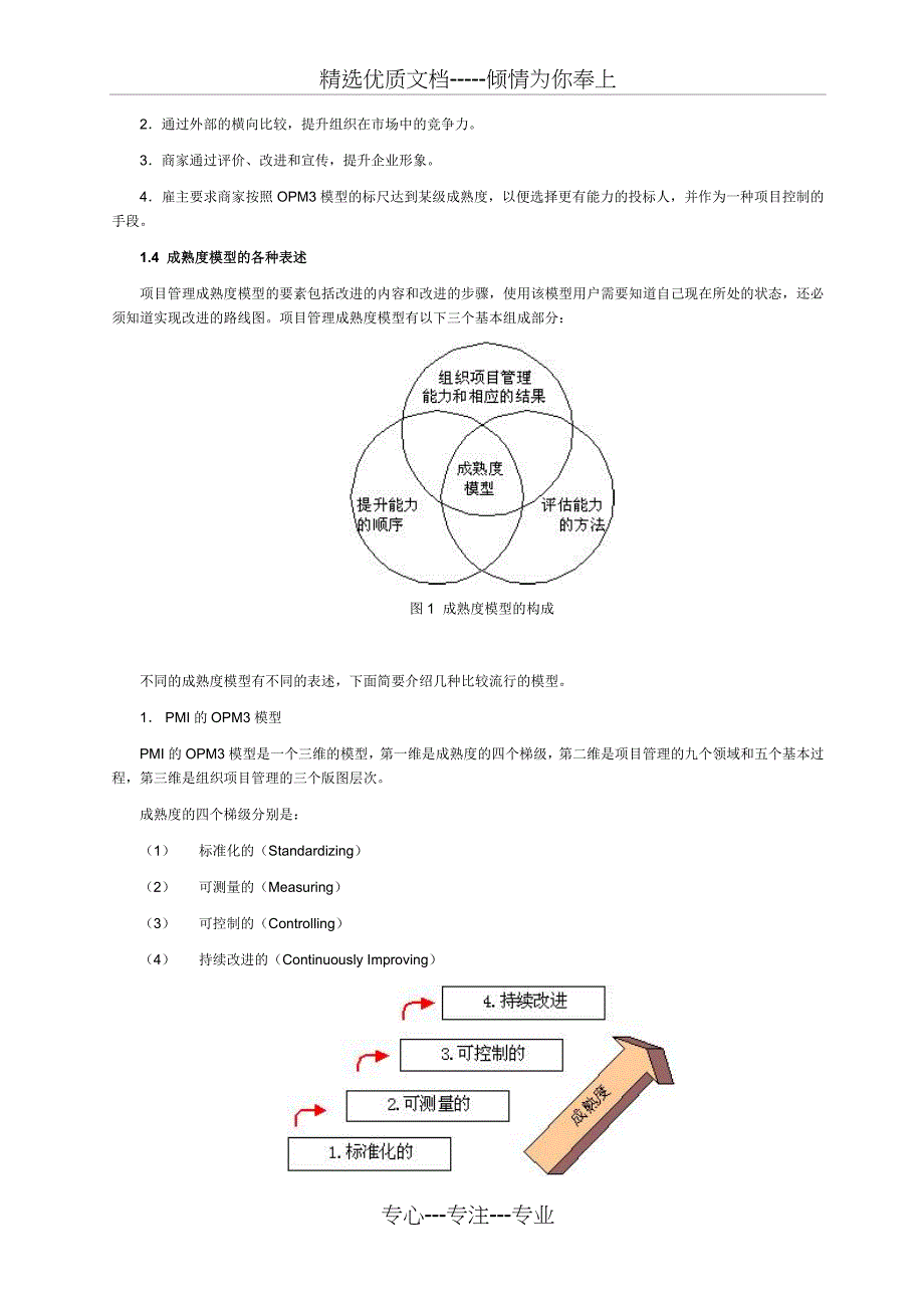 项目管理成熟度模型_第2页