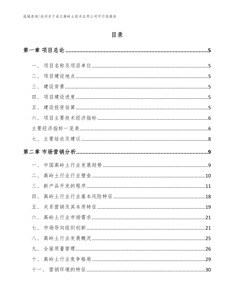 沧州关于成立高岭土技术应用公司可行性报告（模板参考）_第1页