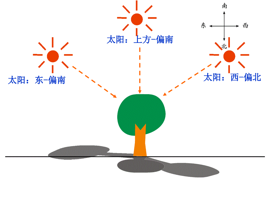 教科版科学五上2.2《阳光下的影子》ppt课件1.ppt_第4页