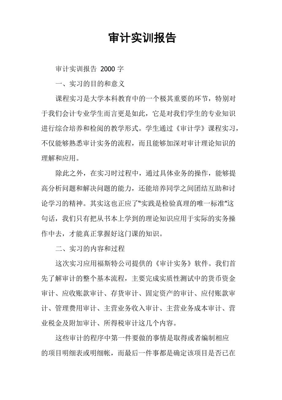 审计实训报告_第1页