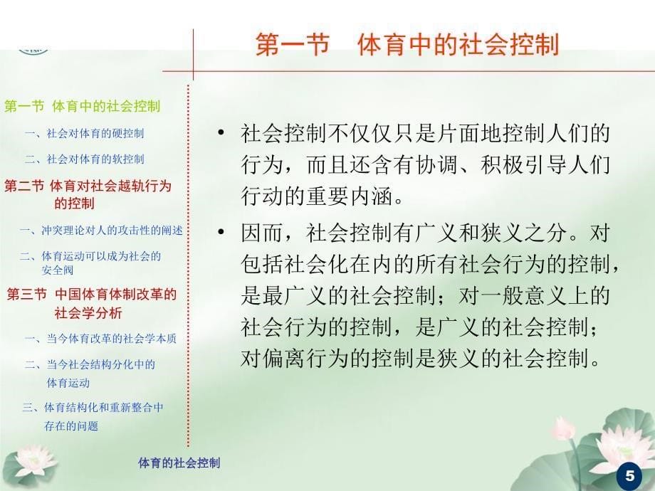 体育的社会控制课件_第5页