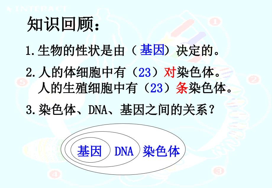 人的性别遗传讲课课件_第2页