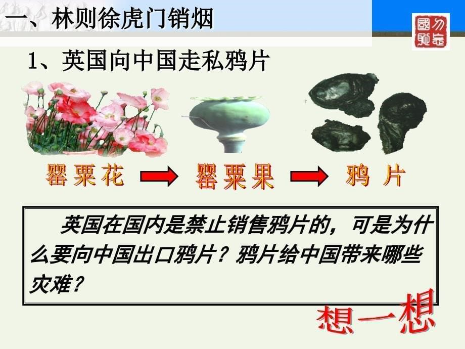 必修一第十课鸦片战争_第5页