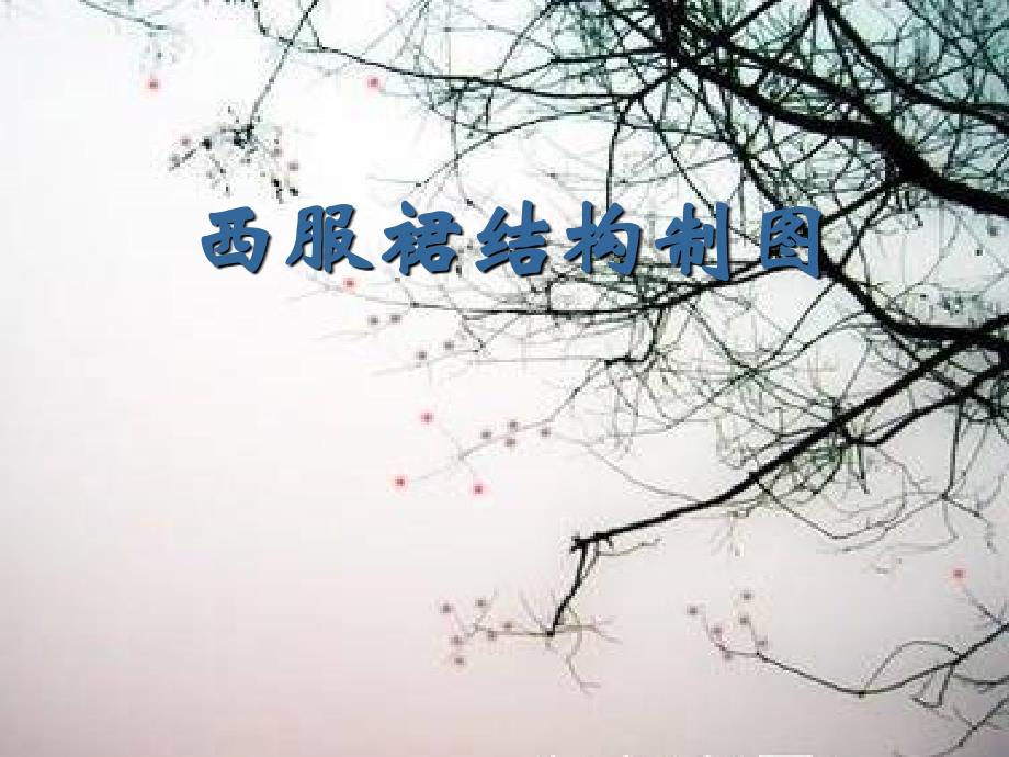 《西服裙结构制》PPT课件.ppt_第1页