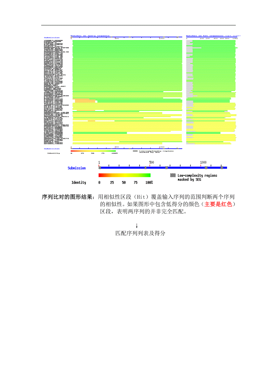 蛋白质结构和功能的生物信息学研究_第2页