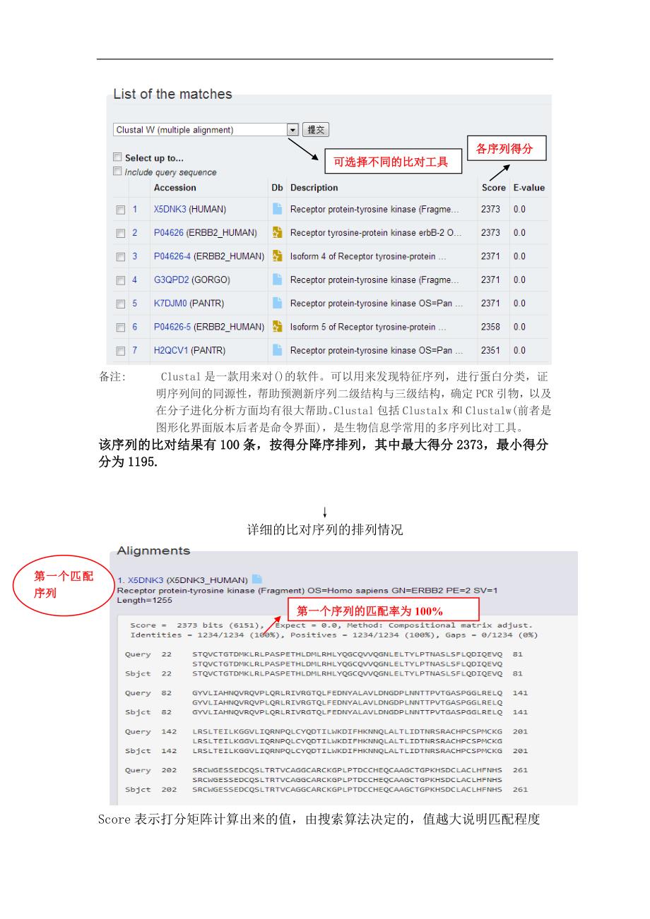 蛋白质结构和功能的生物信息学研究_第3页