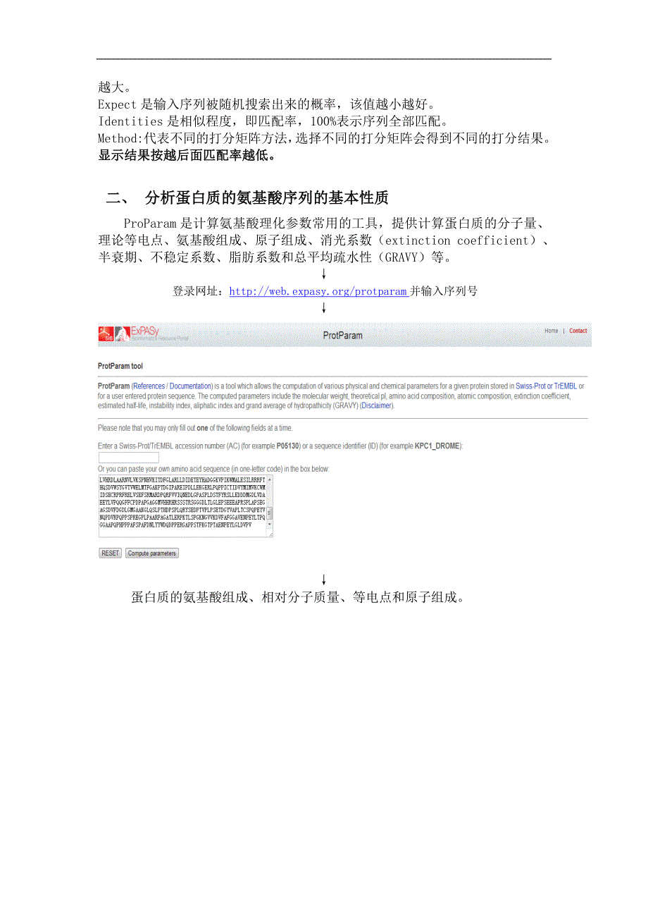 蛋白质结构和功能的生物信息学研究_第4页