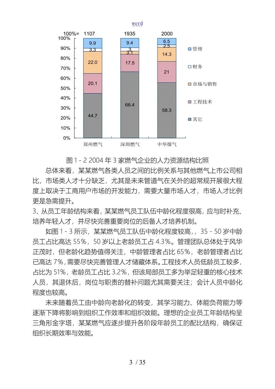 深圳某公司人力资源规划专题报告_第5页