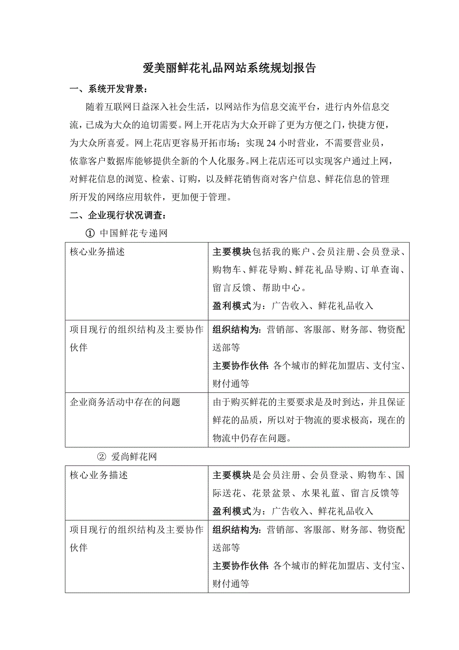 电子商务系统规划报告_第1页