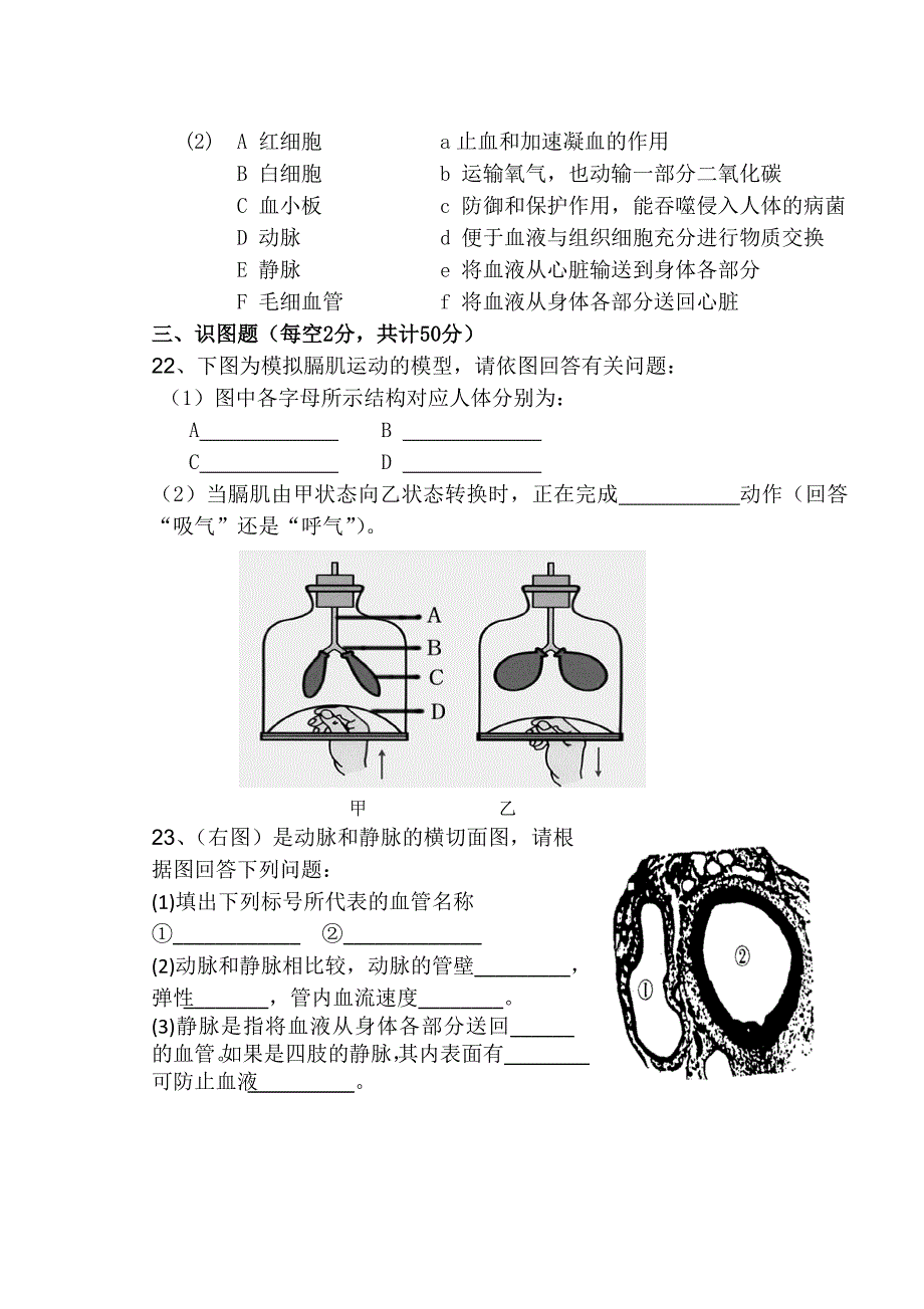 七年级下册生物期中试题_第3页