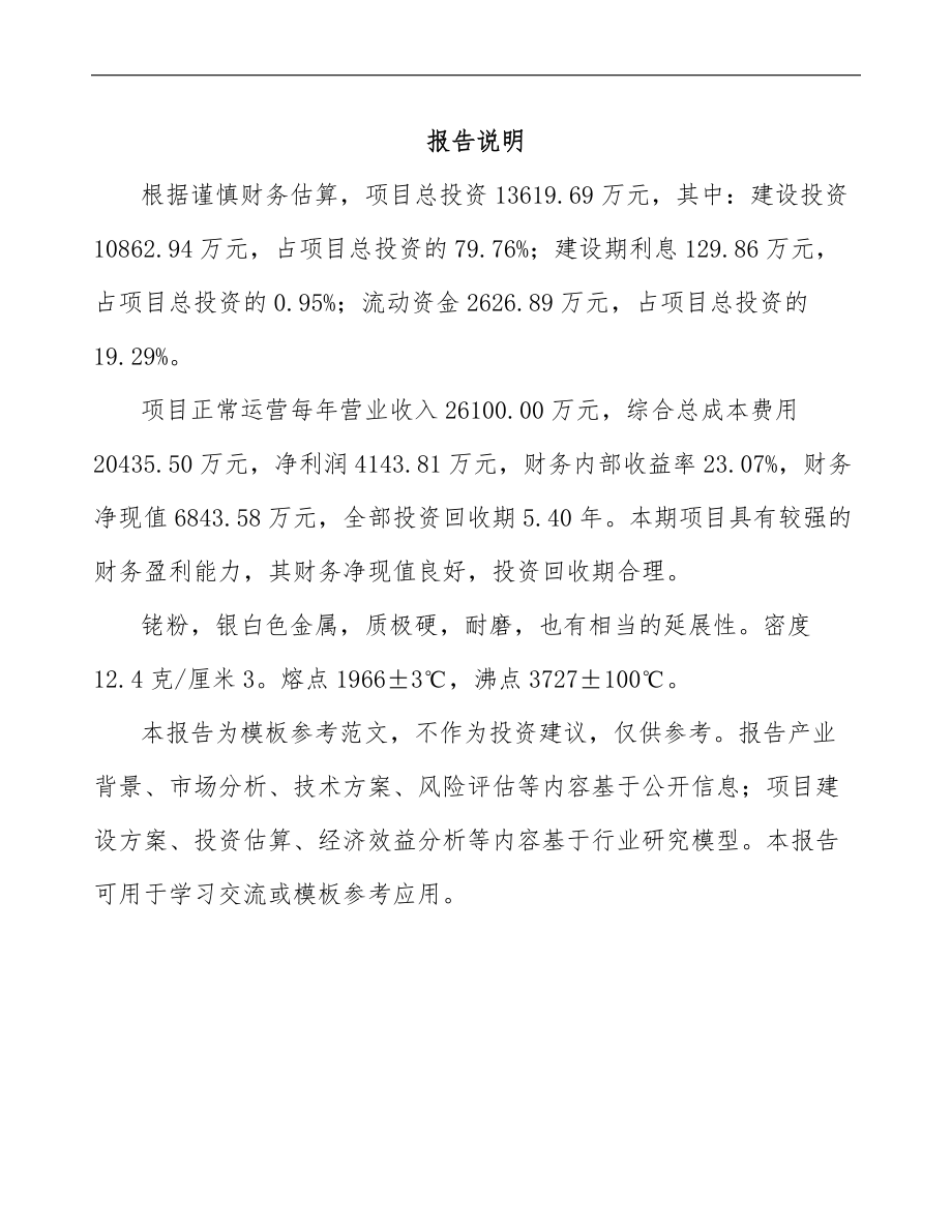 杭州铑粉项目可行性研究报告模板范本_第2页